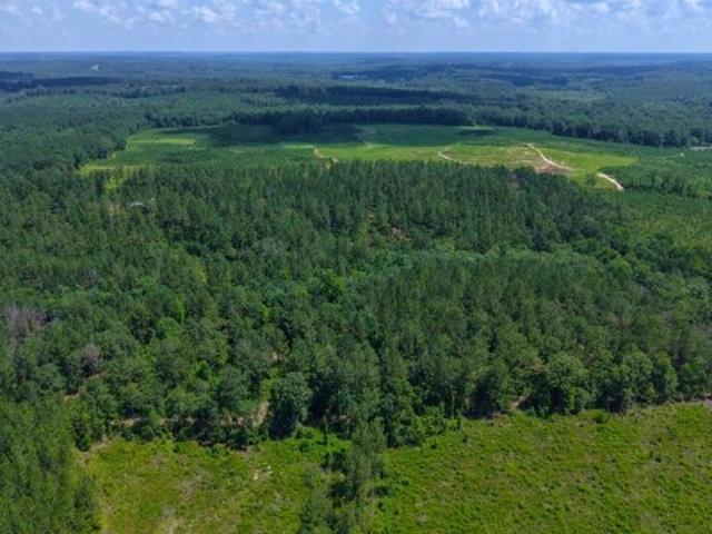 House for sale in Luverne, Alabama