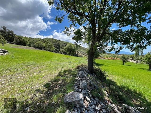 Muğla içerisinde satılık Arsa