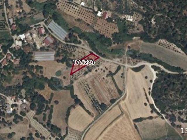 Muğla içerisinde satılık Arsa