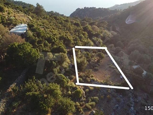 Muğla içerisinde satılık mülk