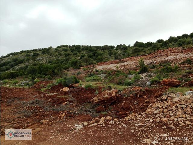 Muğla içerisinde satılık Arsa