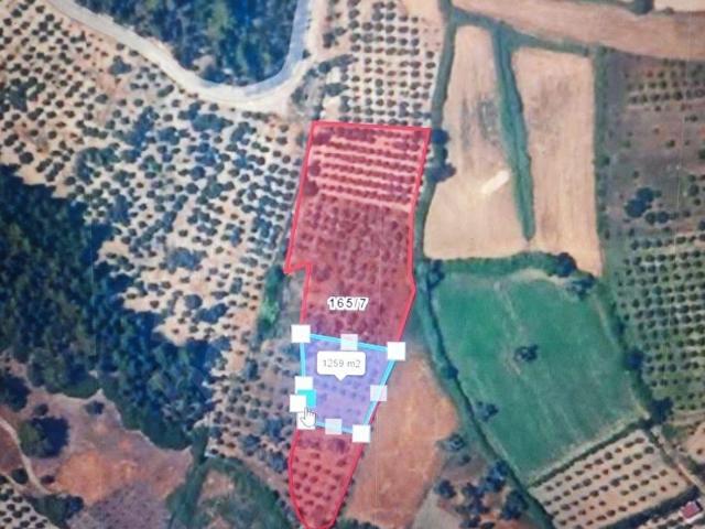 Muğla içerisinde satılık Arsa