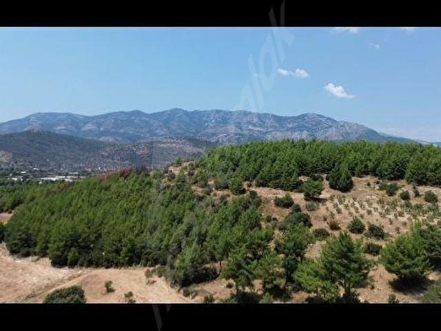 Muğla içerisinde satılık Arsa