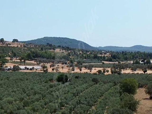 Muğla içerisinde satılık Arsa