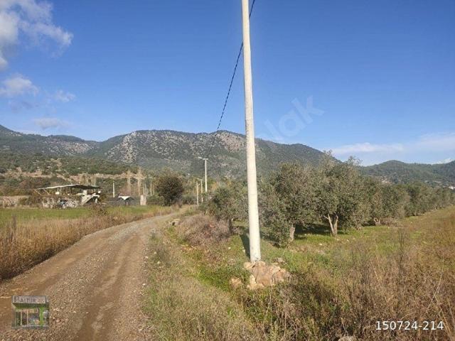 Muğla içerisinde satılık Arsa