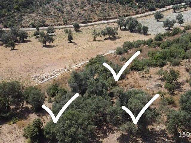 Muğla içerisinde satılık Arsa