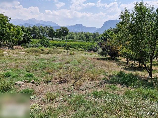 Muğla içerisinde satılık Arsa