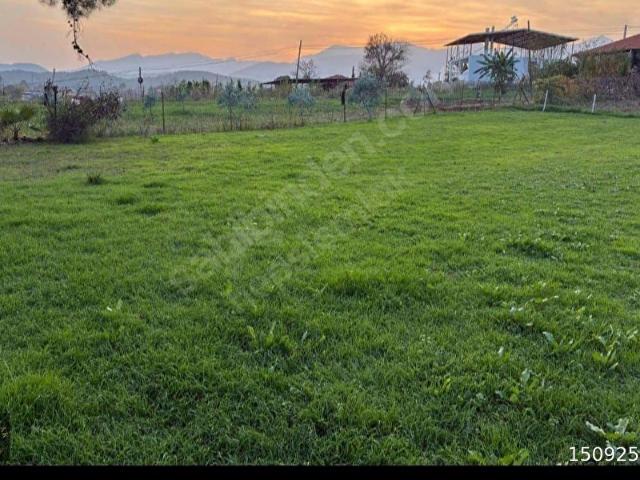 Muğla içerisinde satılık Arsa