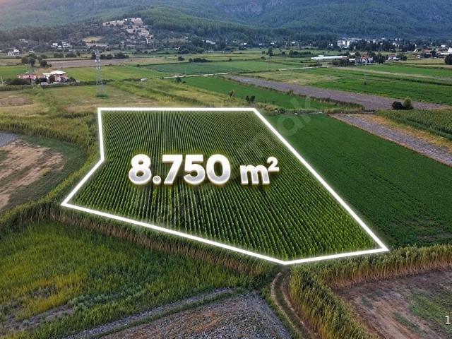 Muğla içerisinde satılık Arsa