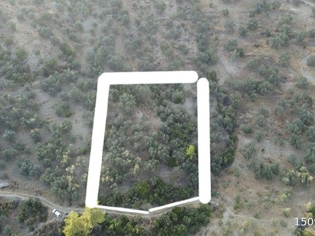 Muğla içerisinde satılık mülk