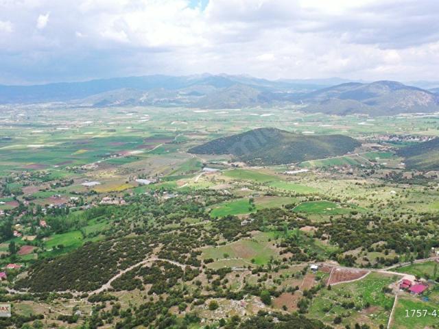Muğla içerisinde satılık Arsa