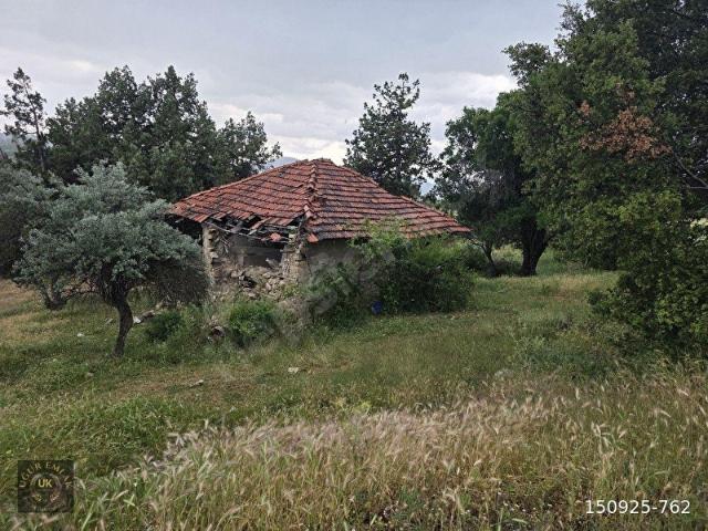 Muğla içerisinde satılık Arsa