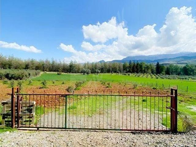 Muğla içerisinde satılık mülk