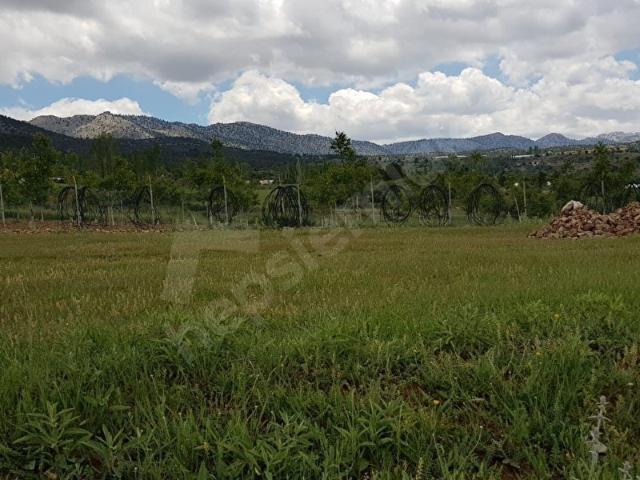 Muğla içerisinde satılık Arsa