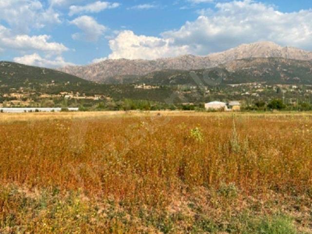 Muğla içerisinde satılık mülk