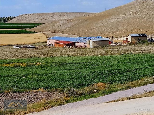 Yazıdere, Seyitgazi içerisinde satılık Dükkan