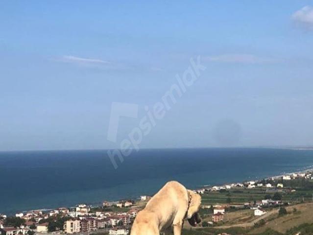 Yakakent, Samsun içerisinde satılık Arsa