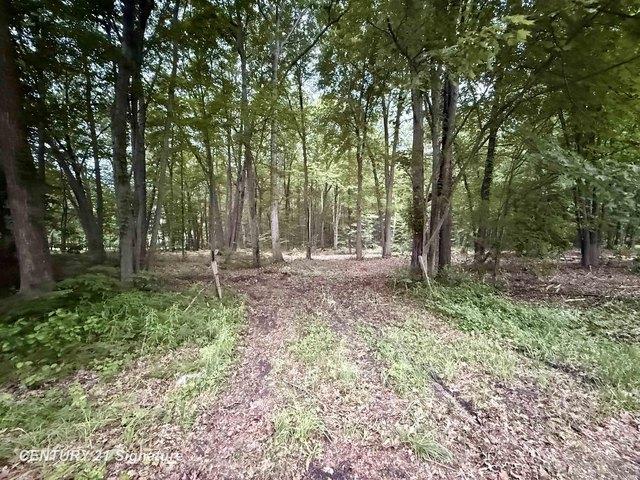 Land for sale in Burt, Michigan