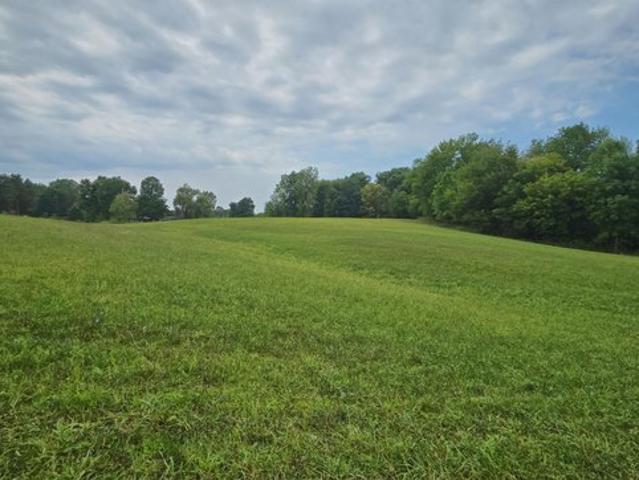 Land for sale in Montrose, Genesee County