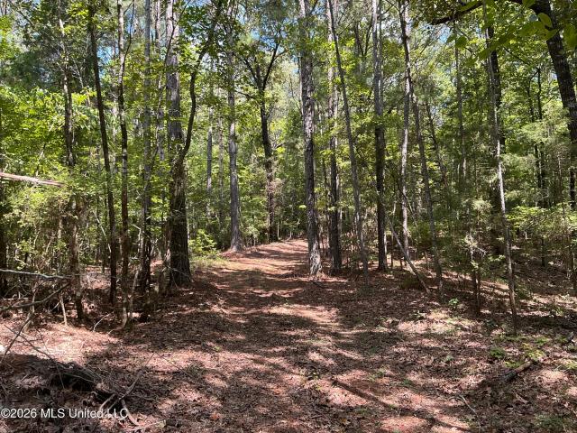 Land for sale in Kilmichael, Montgomery County