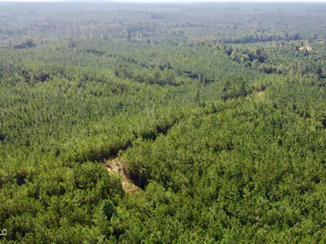 Land for sale in Kilmichael, Montgomery County