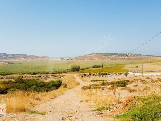 Menemen, İzmir içerisinde satılık Arsa