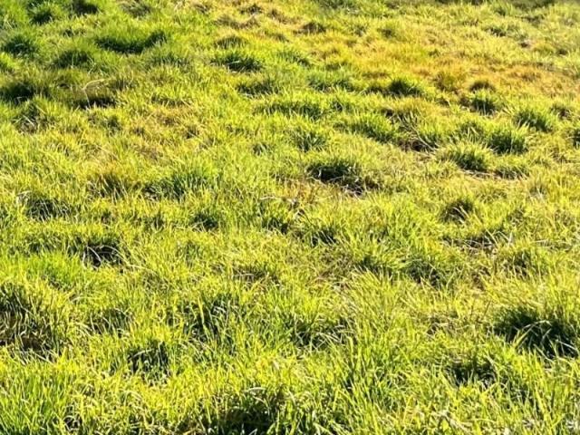 Terrain vente à France métropolitaine, Seyresse