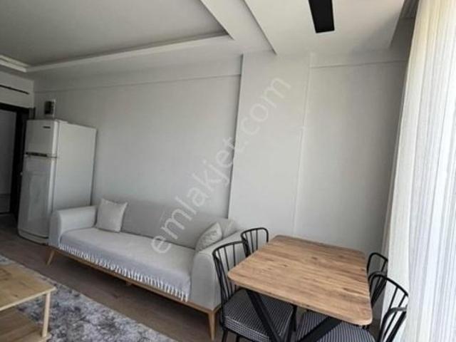 Ova, Canik içerisinde kiralık mülk