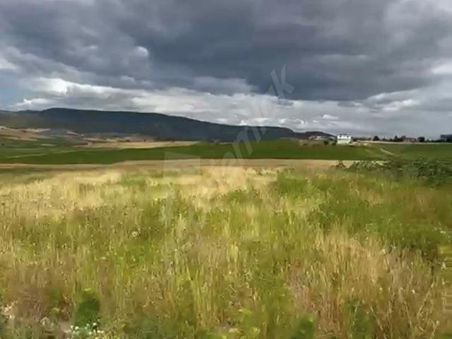 Vezirköprü, Samsun içerisinde satılık Arsa