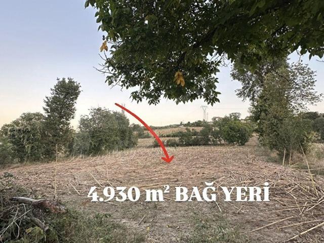 Vezirköprü, Samsun içerisinde satılık Arsa