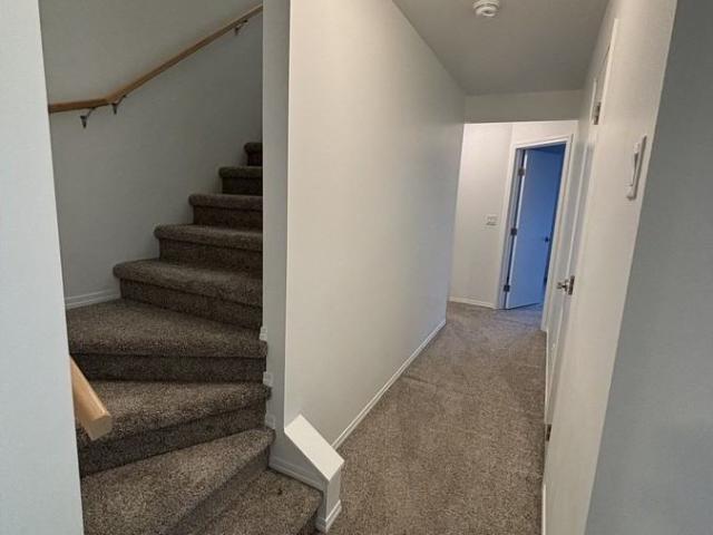 Apartment for rent in Wedgewood, Alberta