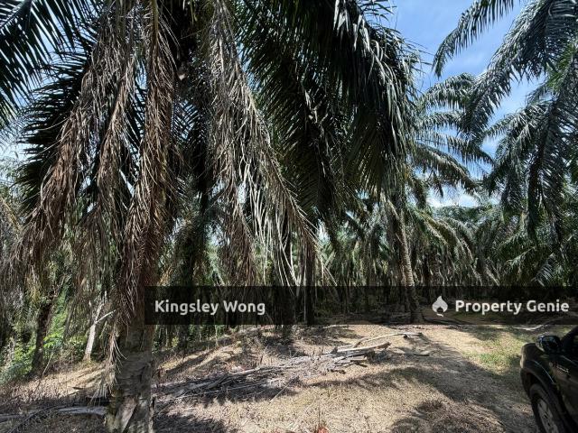 Property for sale in Perak, Perak Tengah