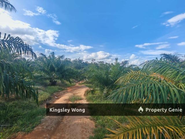 Property for sale in Perak, Perak Tengah
