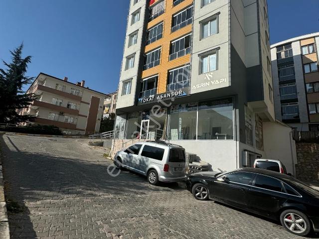 Tokat Merkez, Tokat içerisinde kiralık mülk