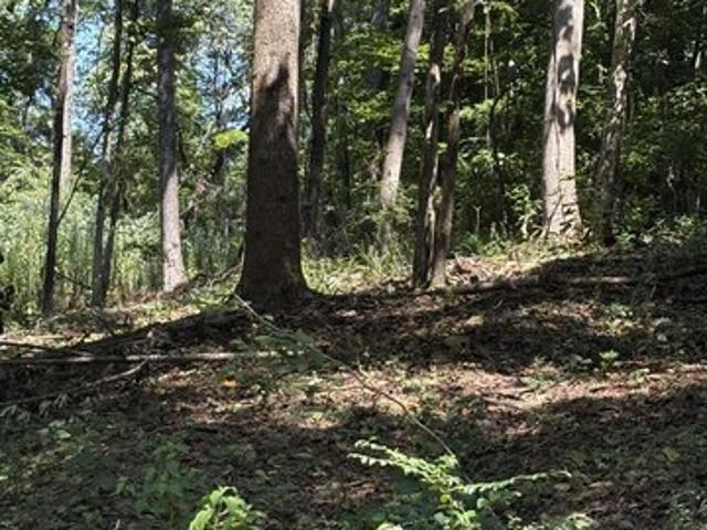 Land for sale in Athens, Limestone County
