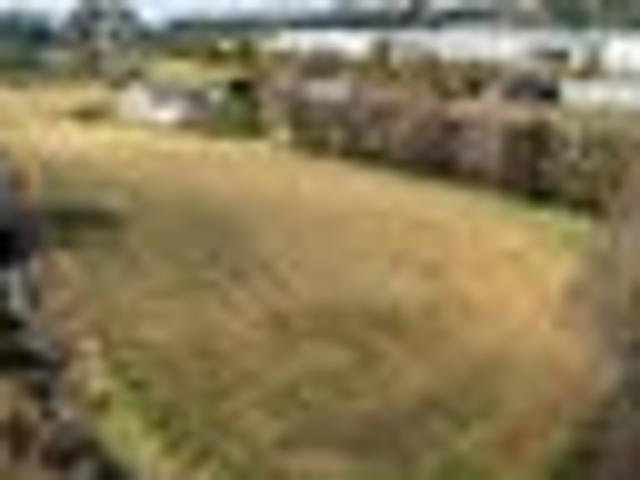 Land for sale in Apata, Bay Of Plenty