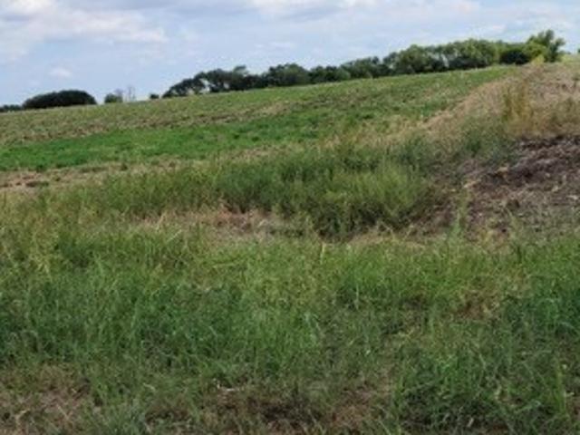 Land for sale in Itasca, Texas