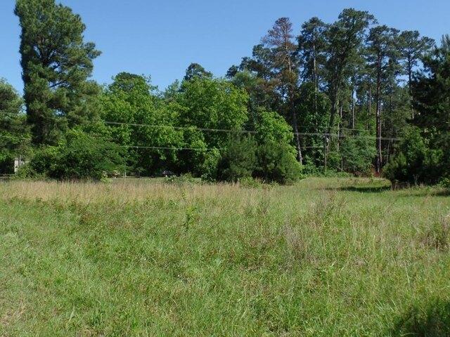 Land for sale in Hemphill
