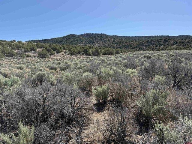 Land for sale in Garcia, Colorado