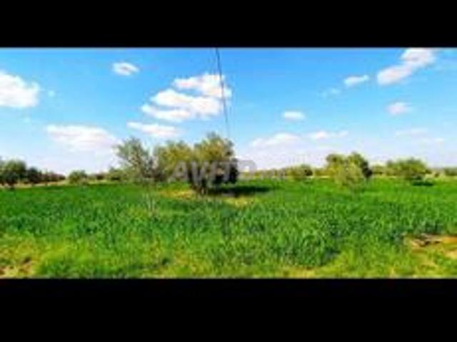 Propriété vente à Anfa, Moulay Rachid