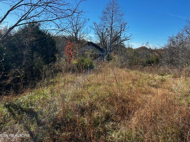 Land for sale in Tennessee