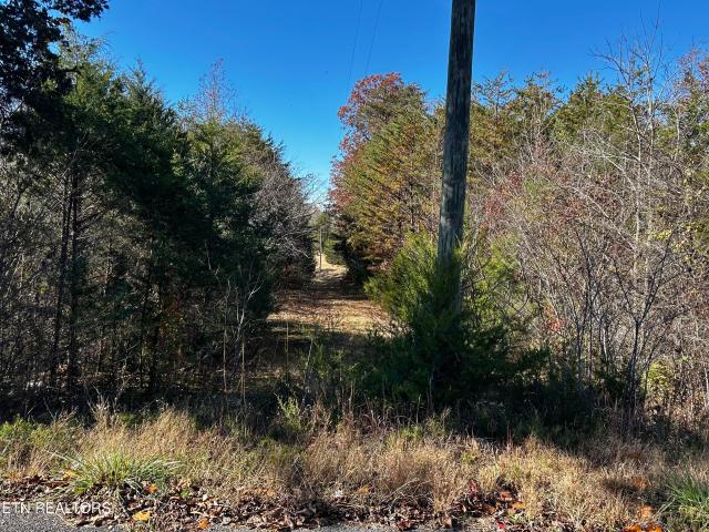 Land for sale in Tennessee