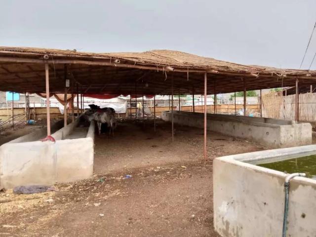 Land for rent in North Waziristan, Federally Administered Tribal Areas fata