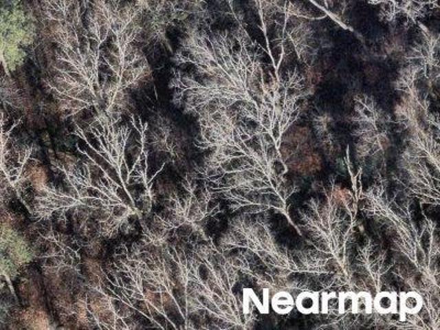 Land for sale in Alabama