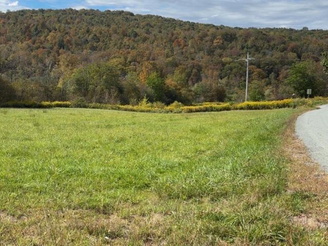 Land for sale in Starrucca, Pennsylvania