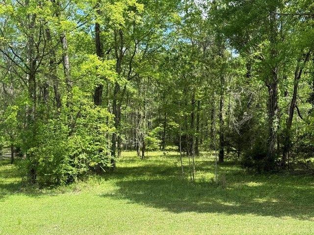 Land for sale in Camden, Alabama