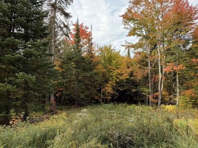 Land for sale in Glover, Orleans County
