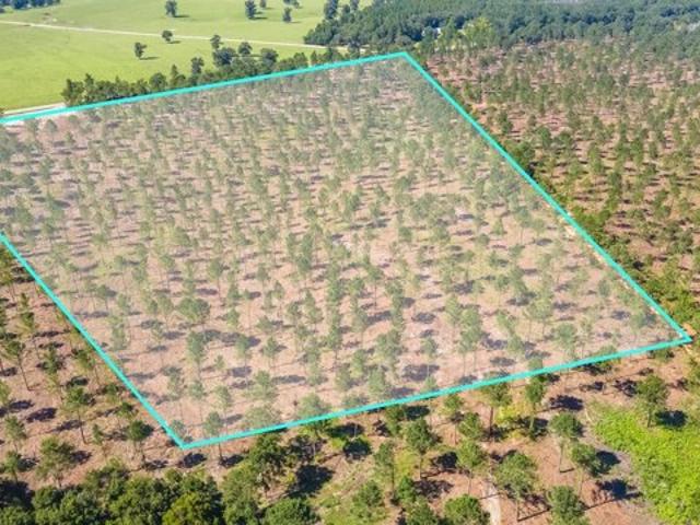 Land for sale in Wagener, South Carolina