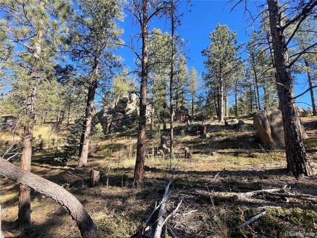 Land for sale in Conifer, Colorado