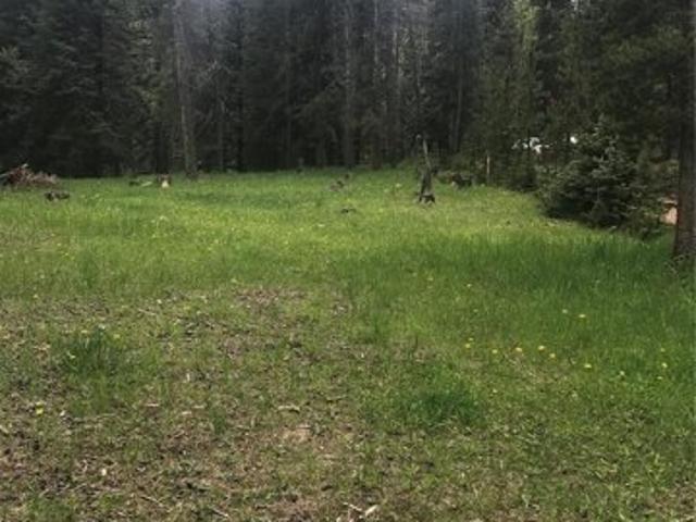 Land for sale in Conifer, Colorado